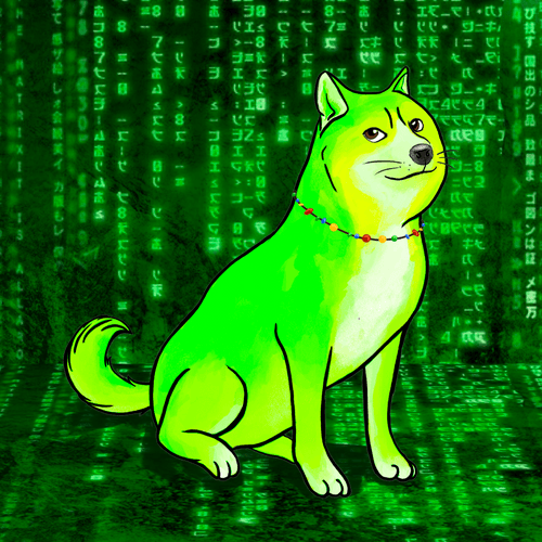 Doge #4841