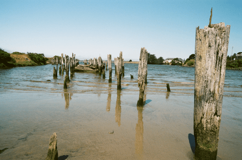 WYWH - West Coast, USA #5