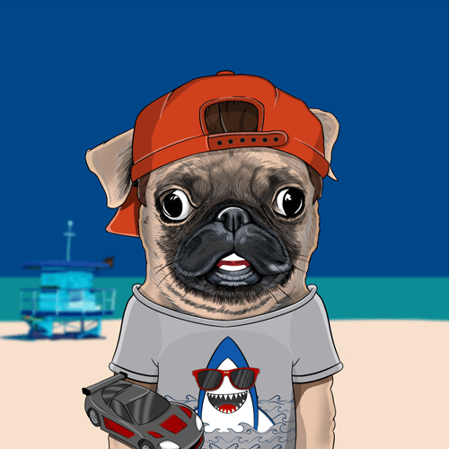 Pug #0205