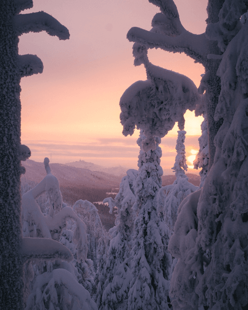 Last Light