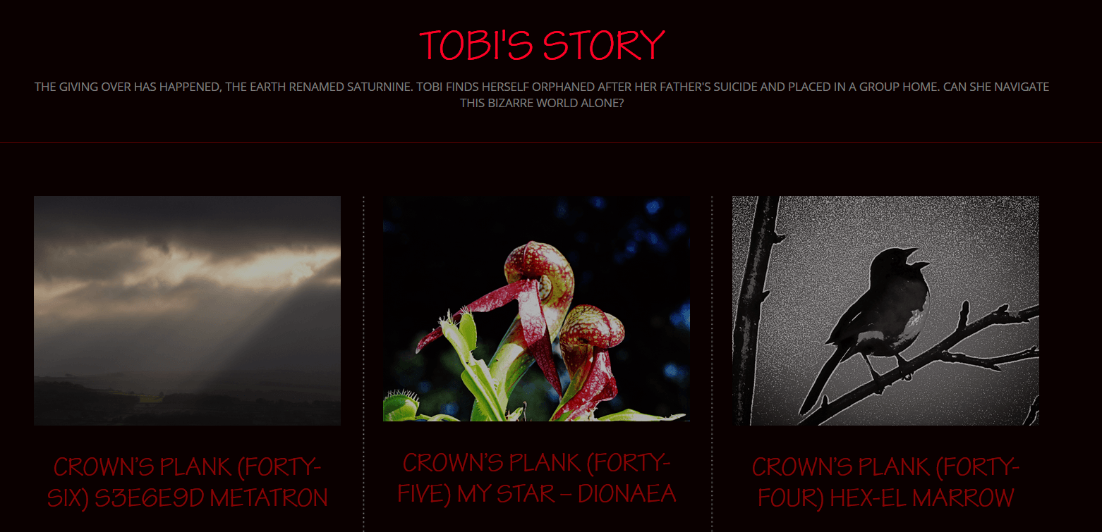 Tobi's Story
