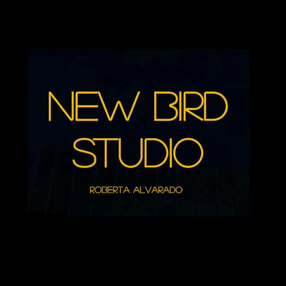 NewBirdStudio