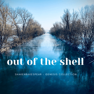 out of the shell