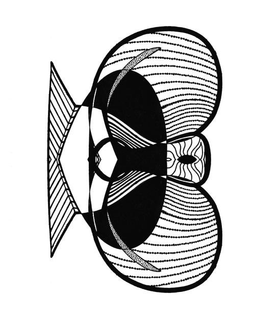 2TNGH4 Bottom Dissection