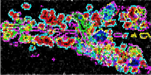 Colorful Worm Brain