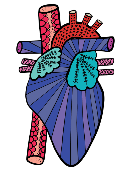 Anatomical Heart #64