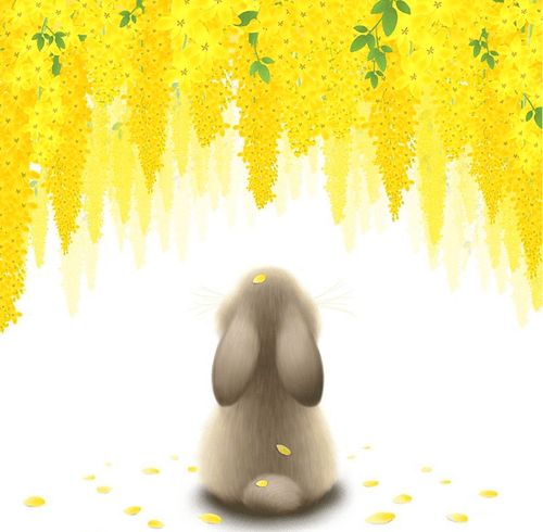 Lucky Bunny 010