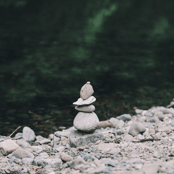 Nature as Meta-Zen