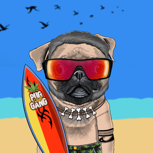 Pug #0209