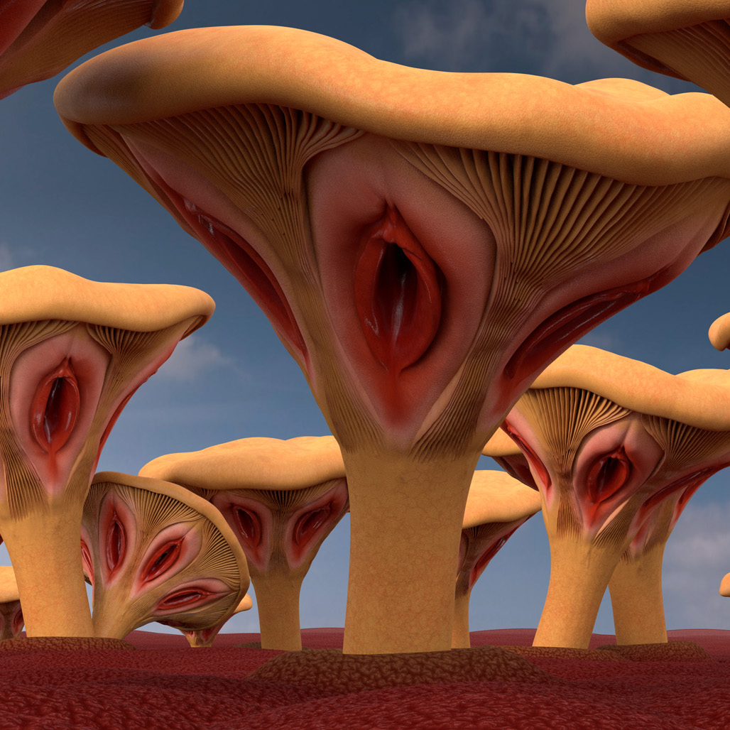 Psychosis, Mushroom Field