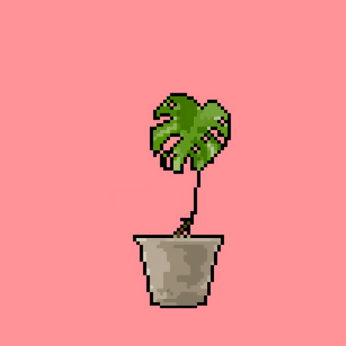 Plant_Collection #77