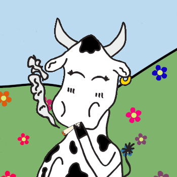 The Stoney Moo