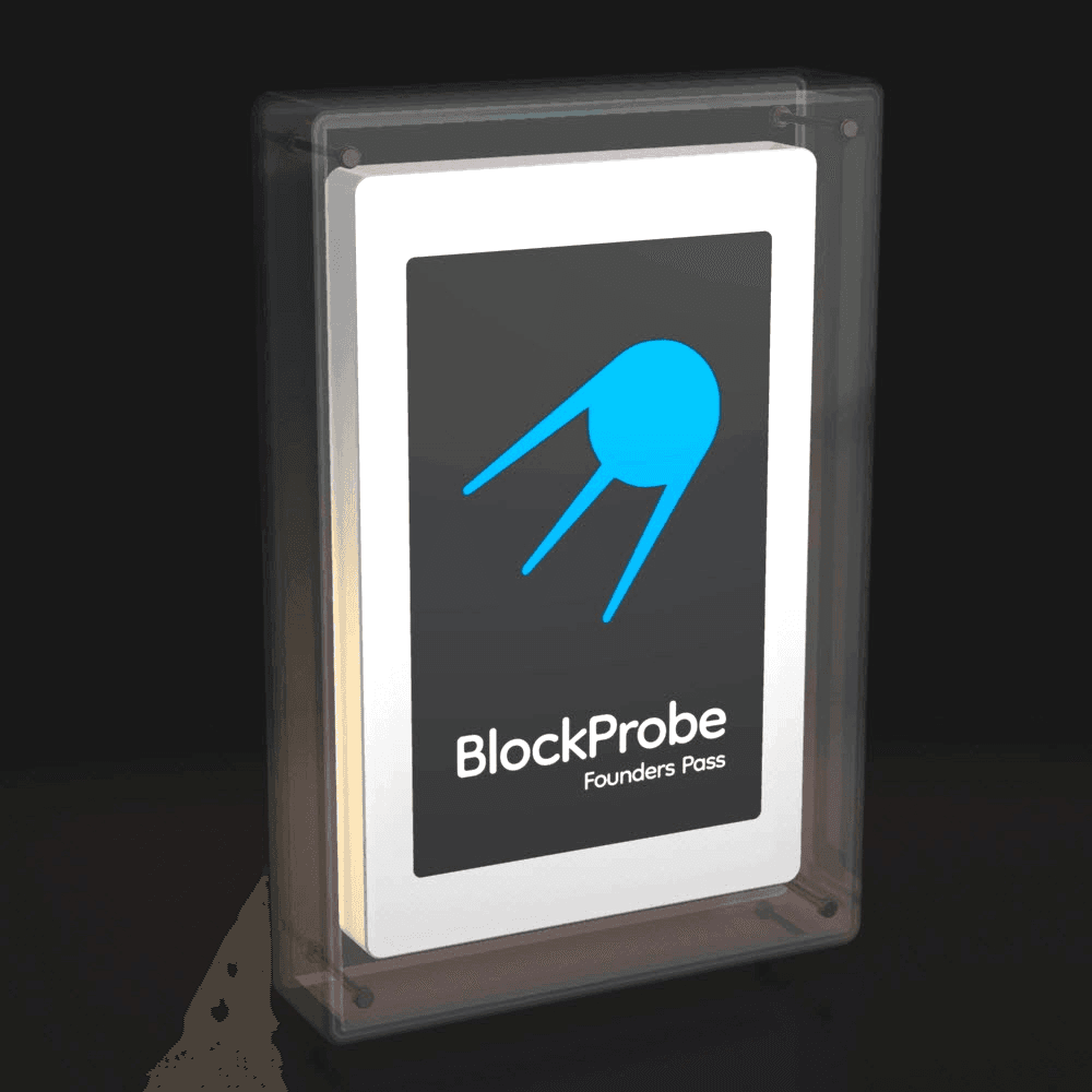 BlockProbe Founders Pass #313