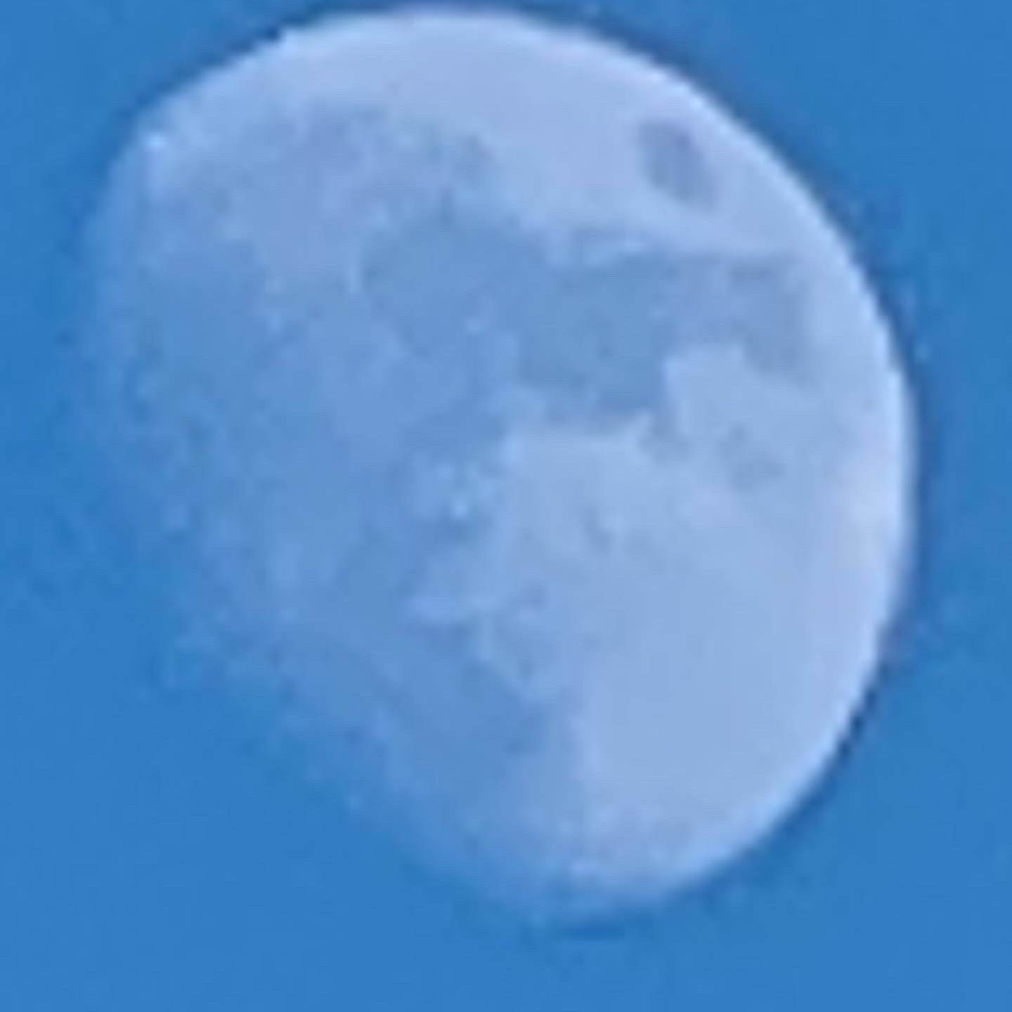 Cow Jumping Over the Moon- September 6, 2022