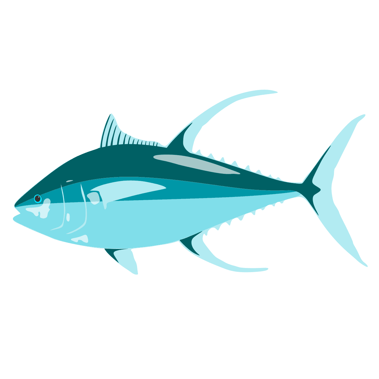 Amazing Tuna