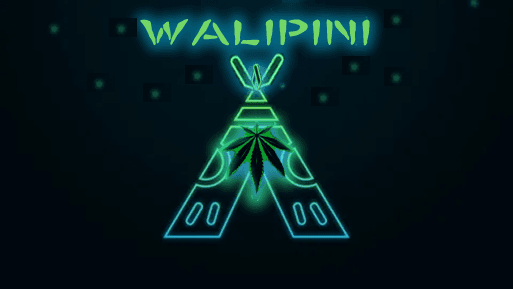Walipini