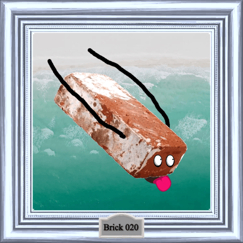 Brick 020