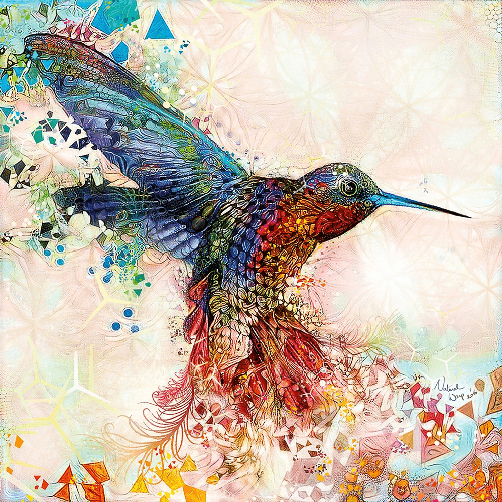 Hummingbird Sketch - 2016