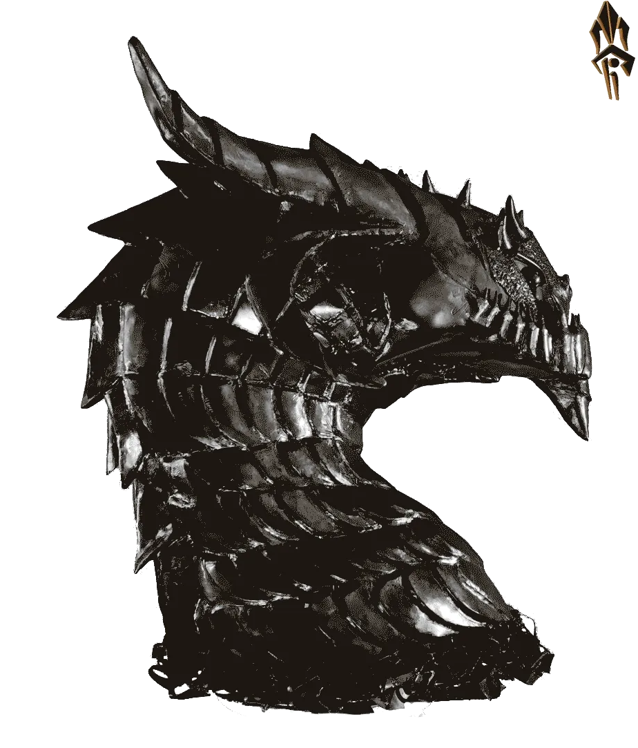 Metal Dragon Head pysical art