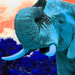 アイテム メディア プレースホルダー