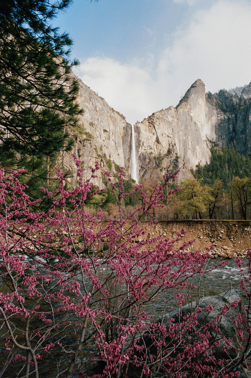 The Yosemite Collection -06