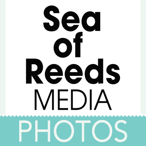 Sea of Reeds Media NFT Photos