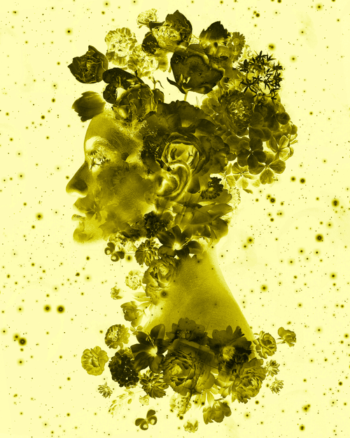 Lavender Dream: Yellow