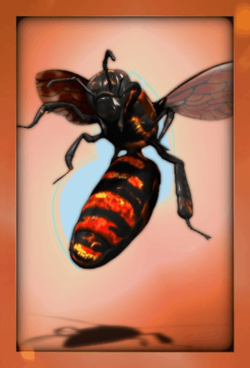 Cinder Wasp 1st Edition