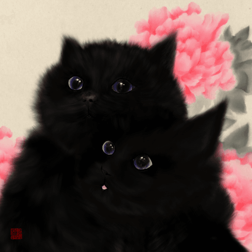 Pink shhan couple #03