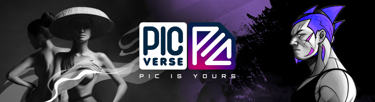 PicVerse banner