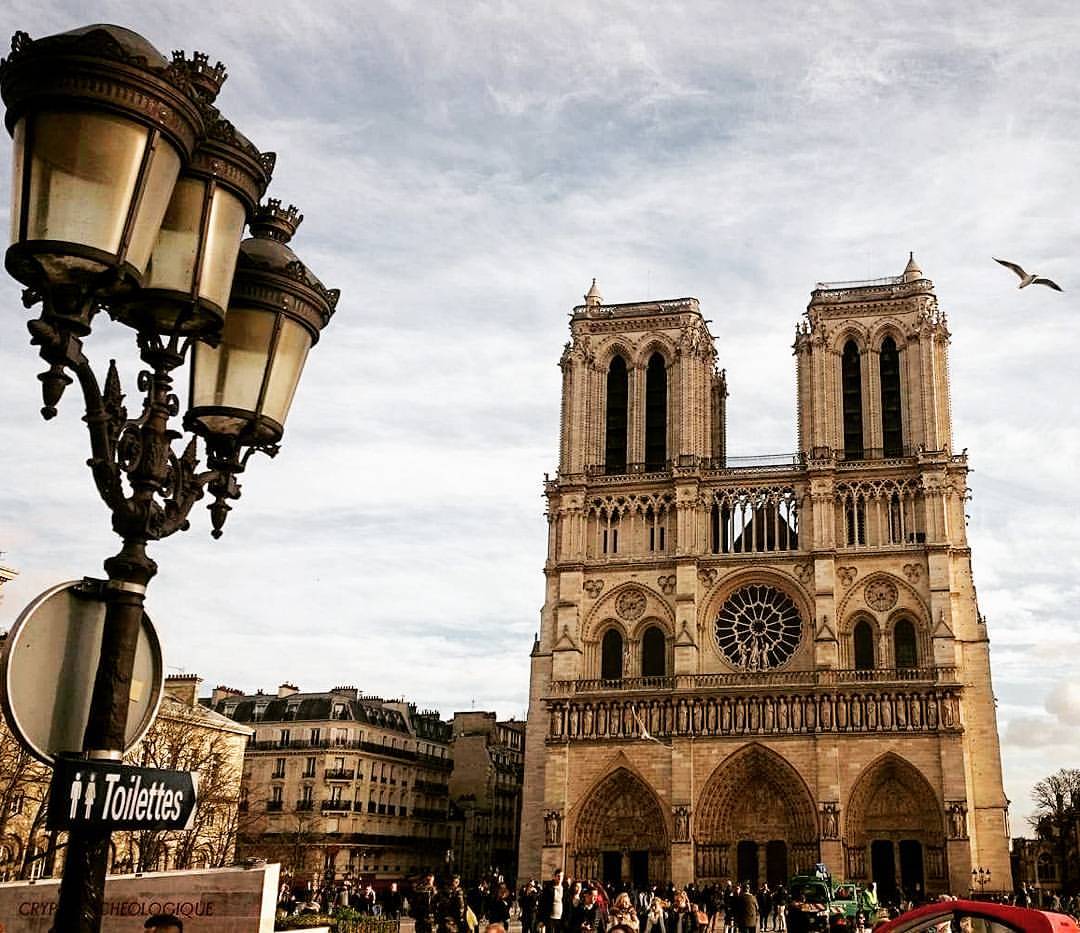 TRAVEL TO PARIS - Collection | OpenSea
