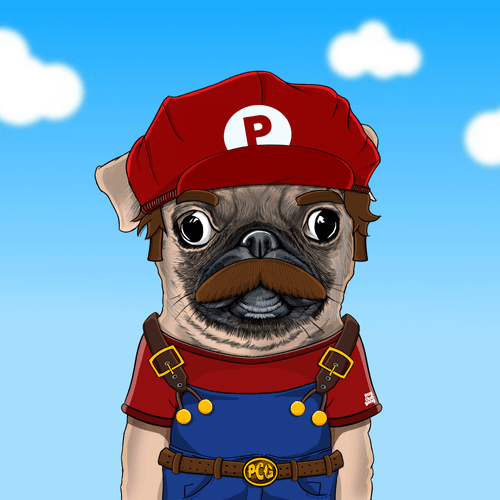 Pug #0066