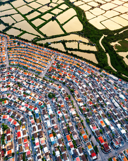 SUBURBIA 近郊