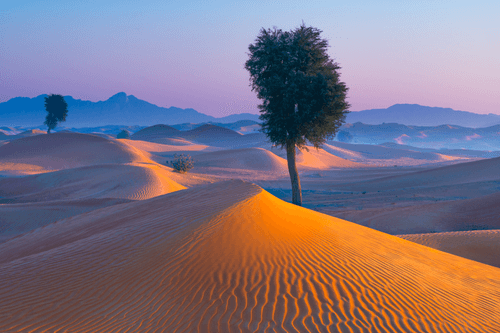 UAE Desertscapes 4