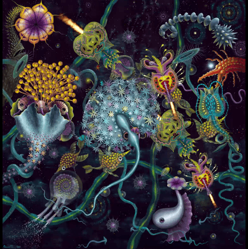 SPACE PLANKTON 2 - Animated