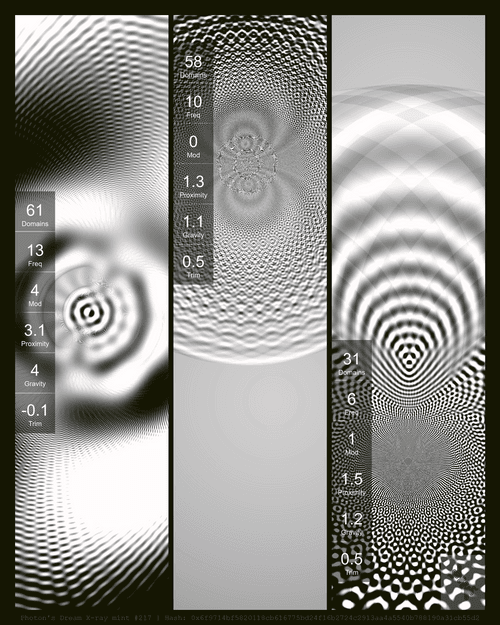 Photon's Dream X-ray mint#217