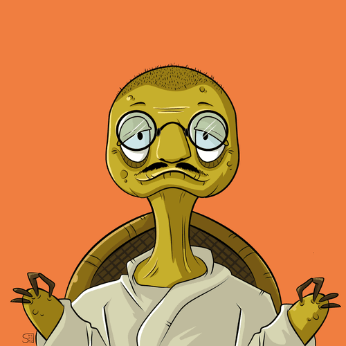 Turtle Gandhi