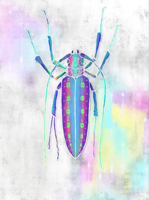 insect 02 kamikirimushi