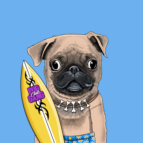 Pug #0158