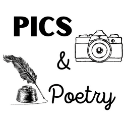 Pics & Poetry collection image