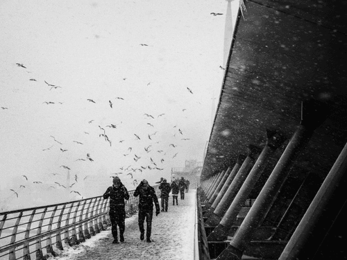 Kar: Istanbul Under Snow #27