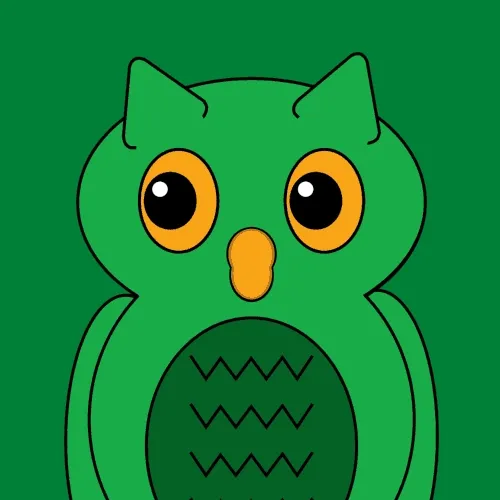 Owl Dudes