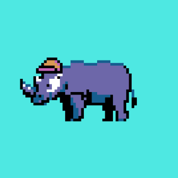 Crazy Rhinos