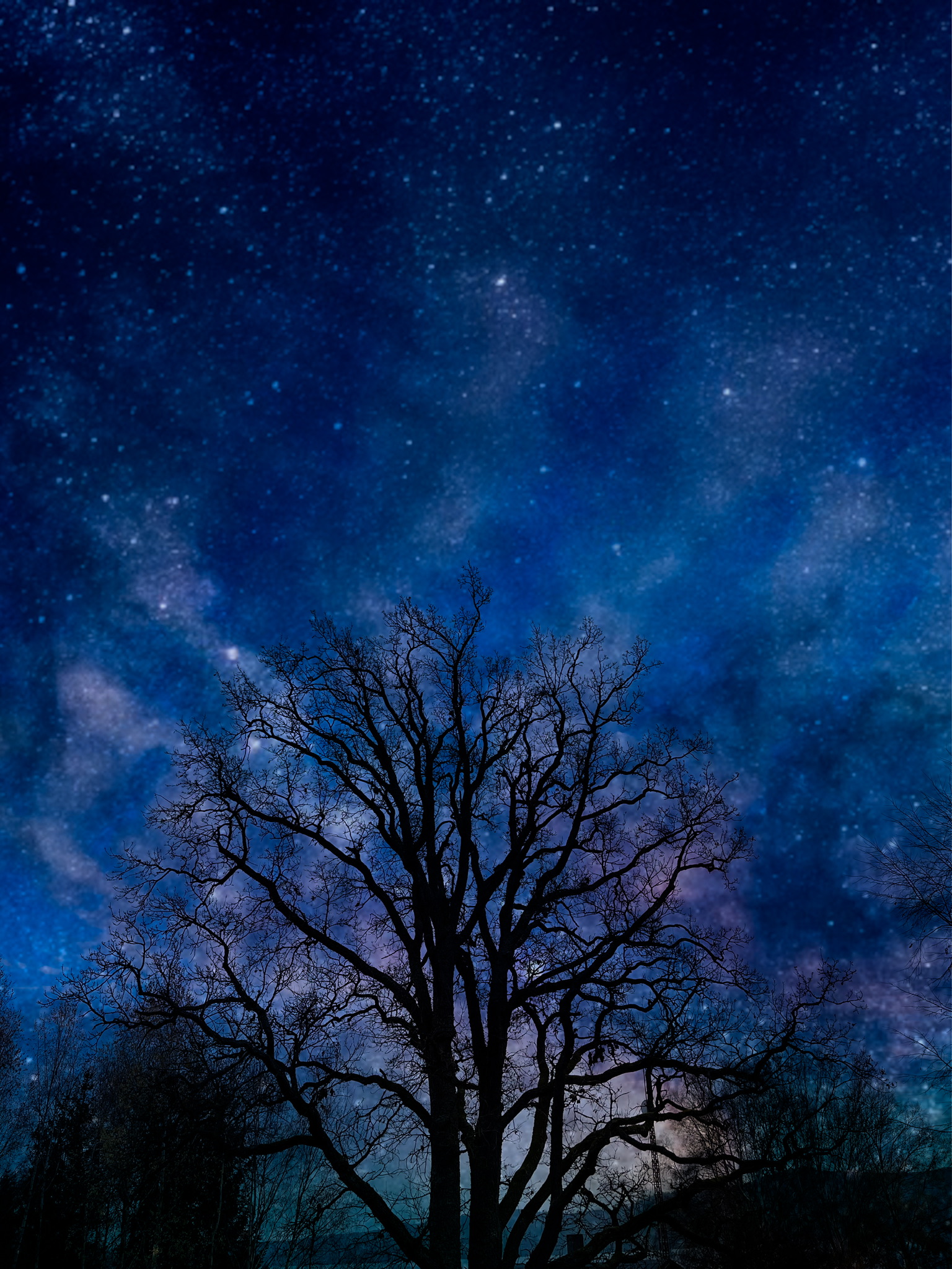 Cloudzzz #4 Cosmic Energy Tree Night