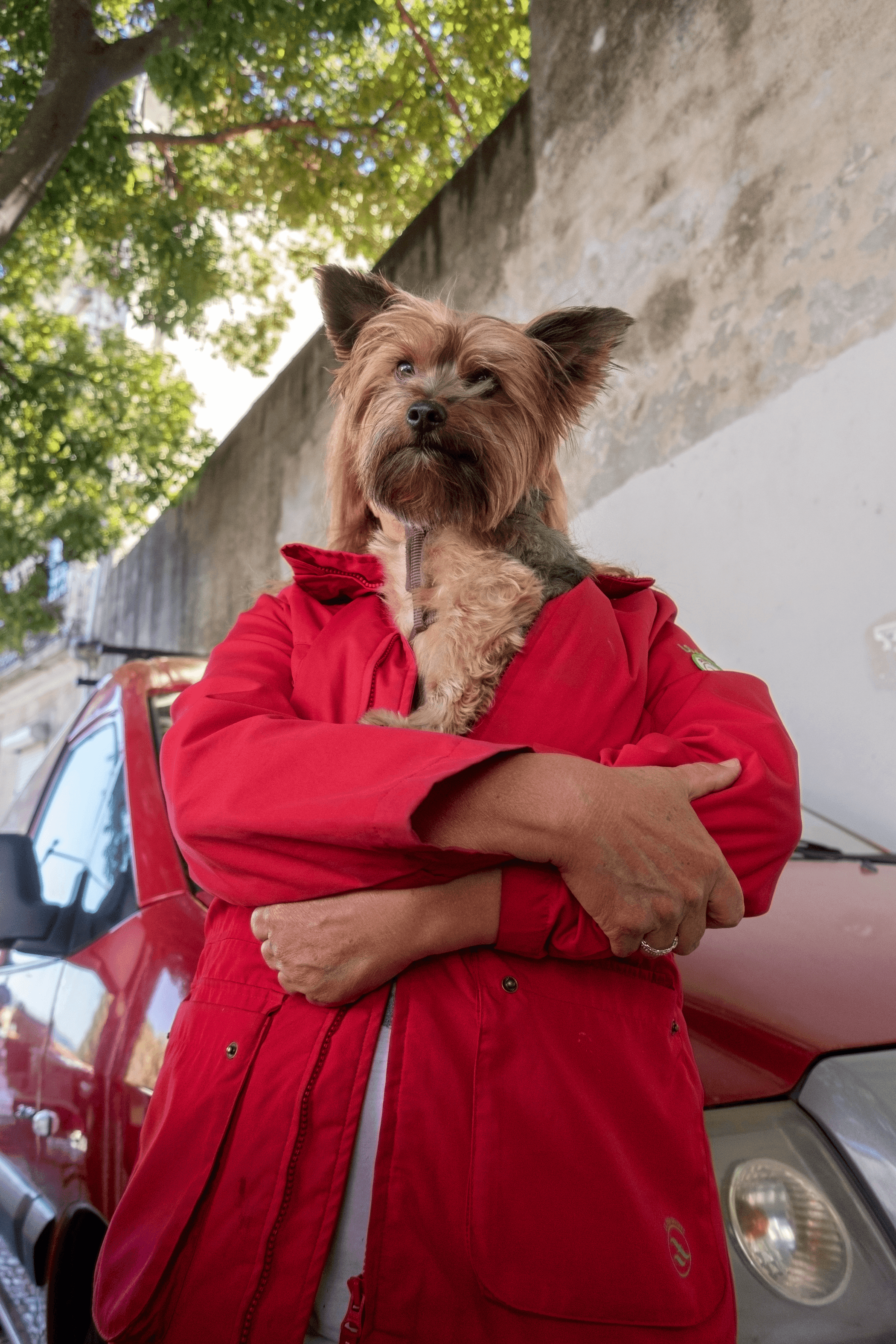 Urban Poetry #8 – Oh my dog! (Edition 1/1)