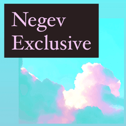 Negev Exclusive collection image