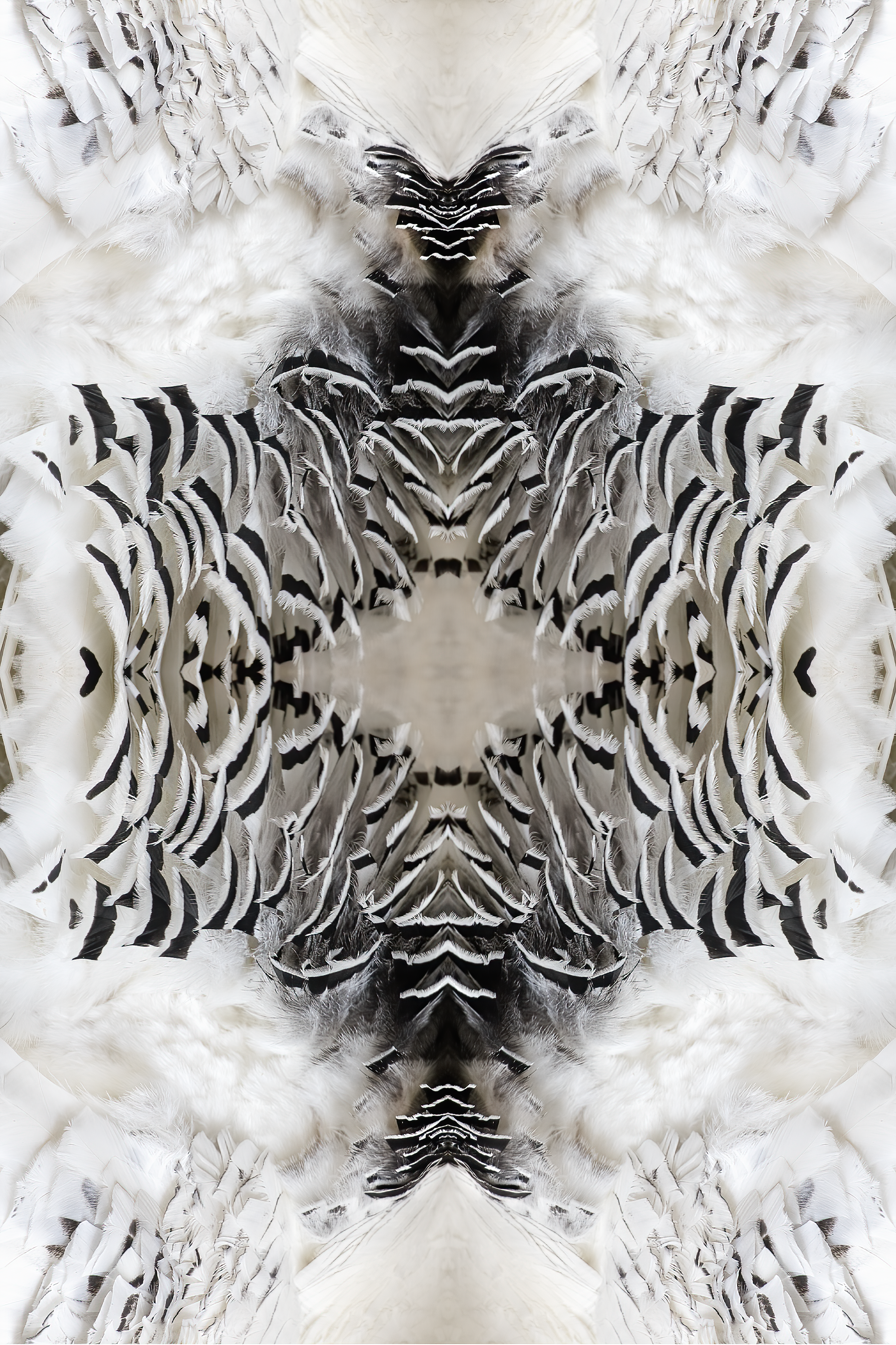 Reflection