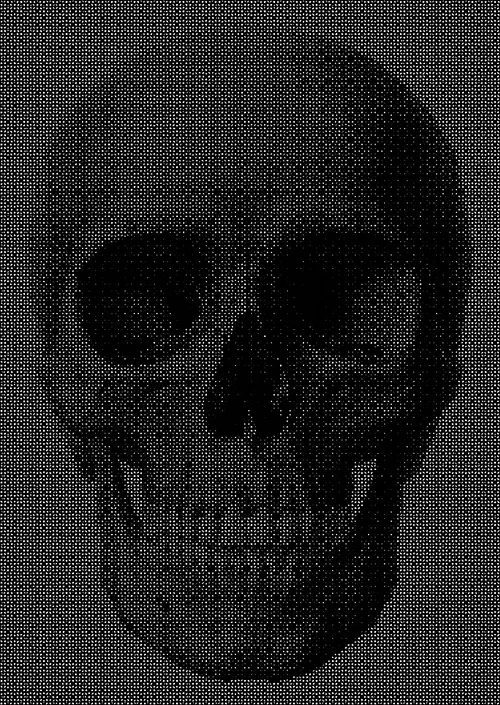 Memento Mori #243