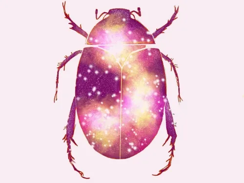 space scarab no.3