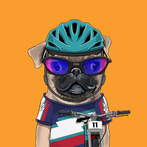Pug #0152